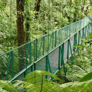 Shuttle to Monteverde Cloud Forest Reserve